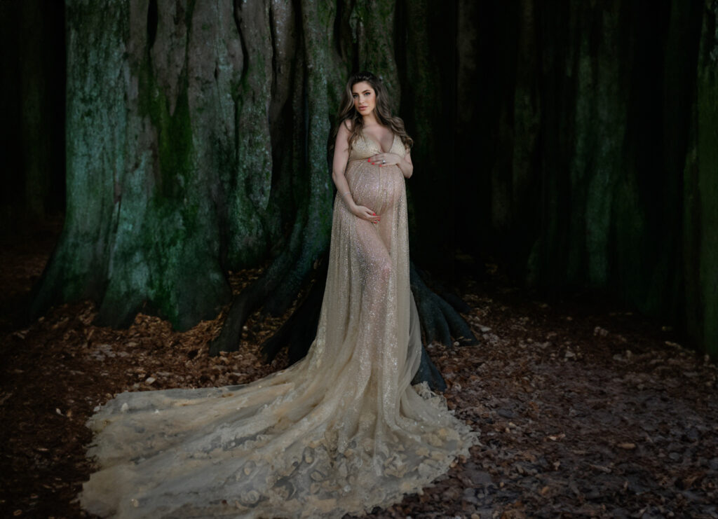 Yana Star Photography - Yana Star Photography maternity portraits